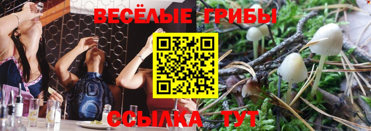 Канаш  Галлюциногенные грибы ЛСД  Вход с VPN  Псилоцибиновые грибы MAGIC MUSHROOMS 